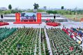 HƯỞNG ỨNG THÁNG HÀNH ĐỘNG PHÒNG CHỐNG MA TUÝ NĂM 2026